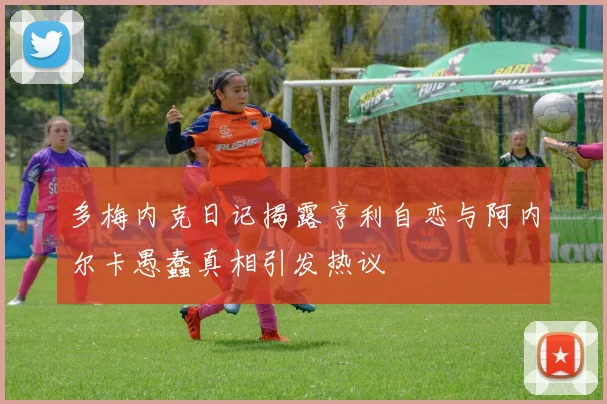 多梅内克日记揭露亨利自恋与阿内尔卡愚蠢真相引发热议